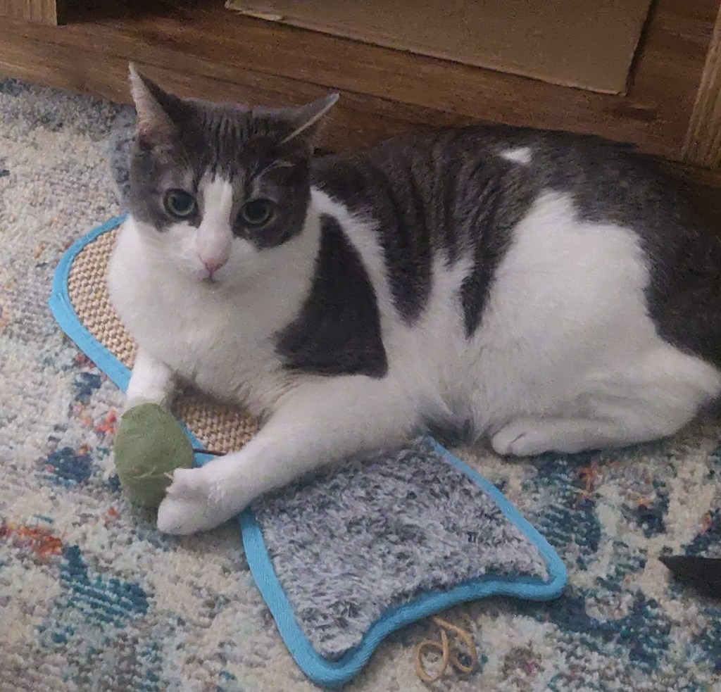 Favourite Activities